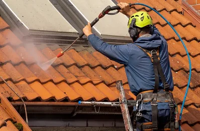 Démoussage et hydrofuge de toiture à Théza